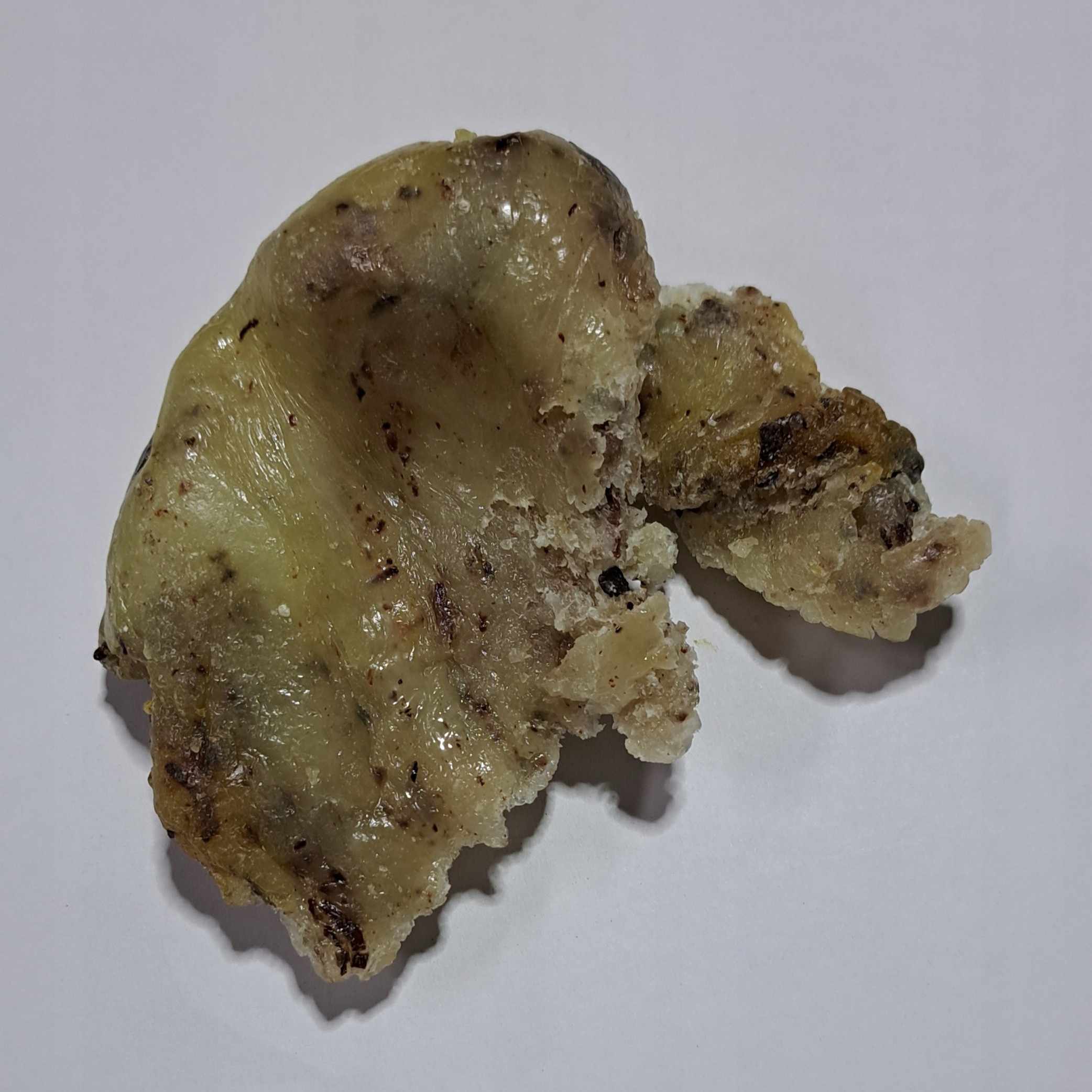 Levně Elemi Pryskyřice Canarium Luzonicum 100 G Rafex