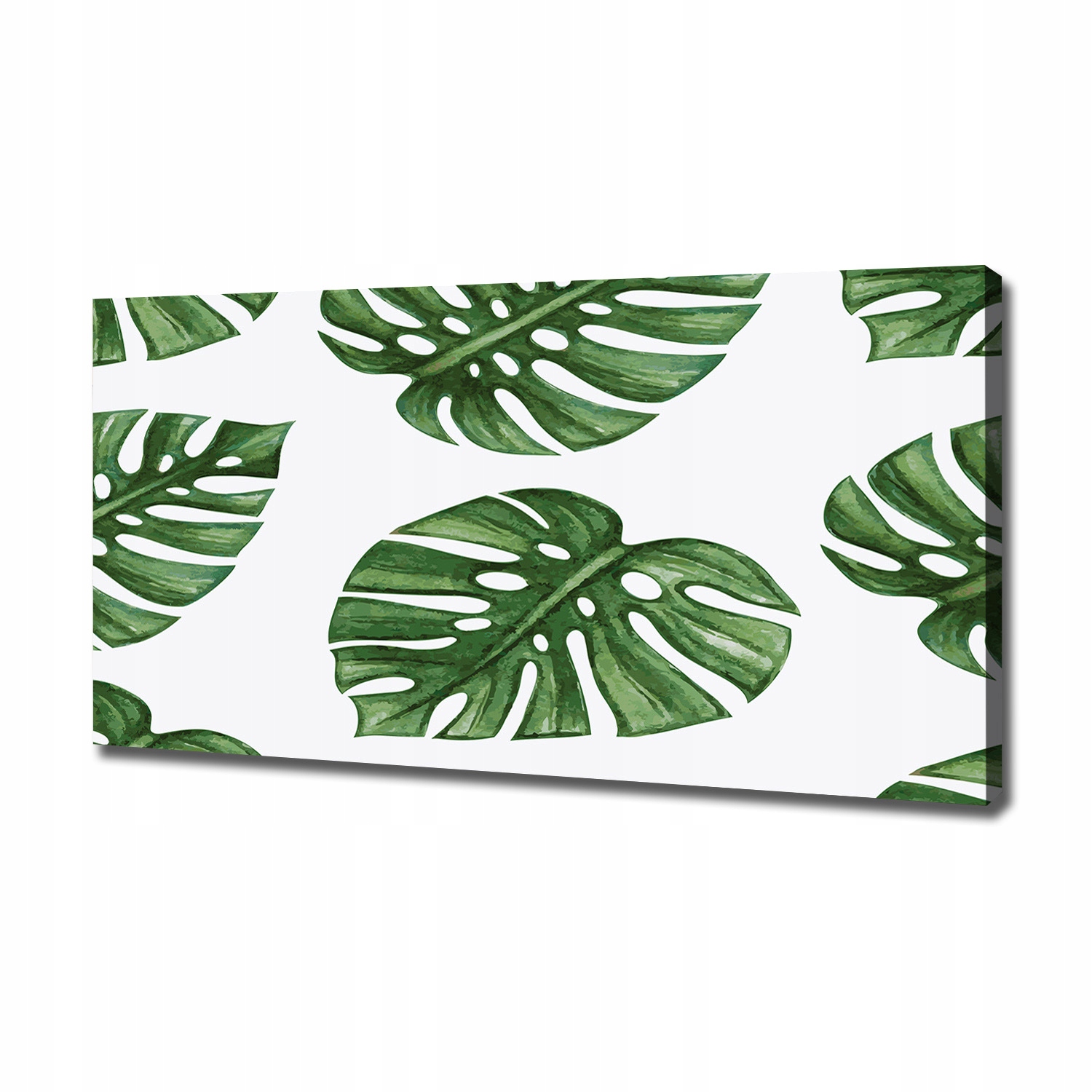

Foto obraz canvas na ścianę Monstera 120x60 cm
