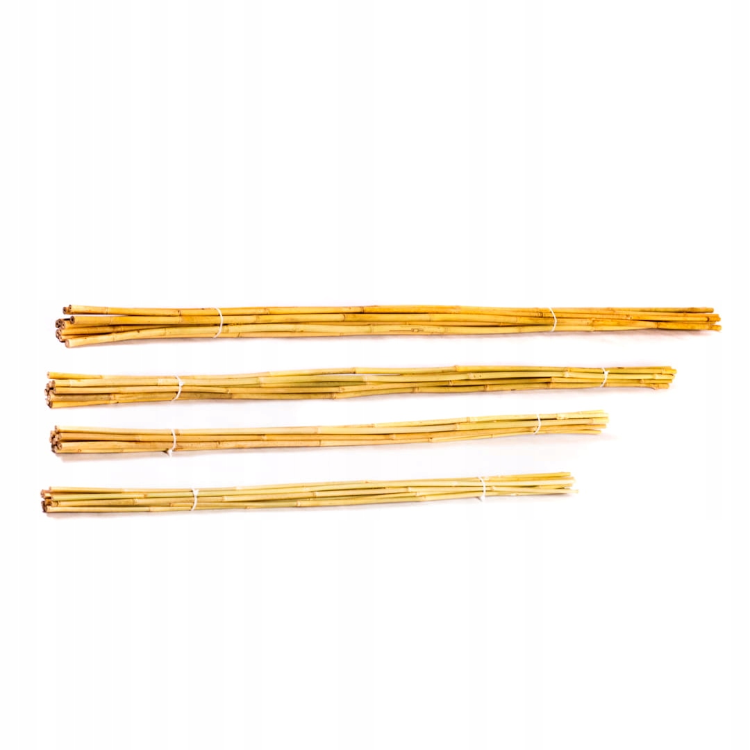 

Tyczka bambusowa 120cm 14/16mm 25 sztuk