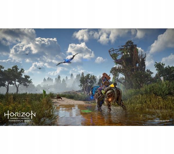 Horizon Forbidden West PS4 / PS5 Stan opakowania oryginalne