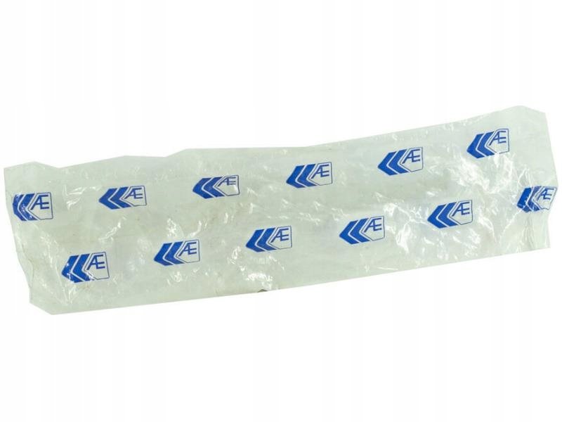 AE v98068 Впускний клапан