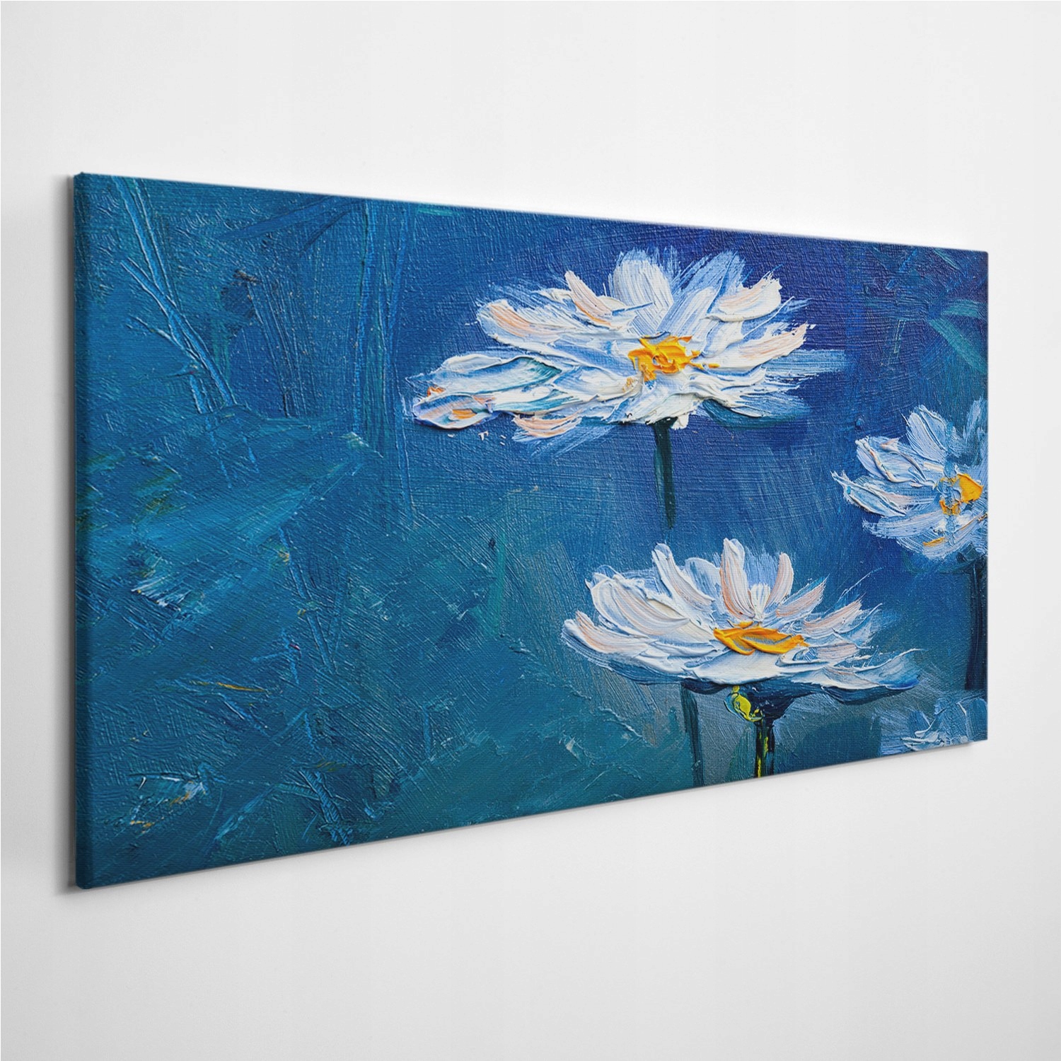 

Fotoobraz na ścianę Natura Kwiaty Stokrotki 100x50