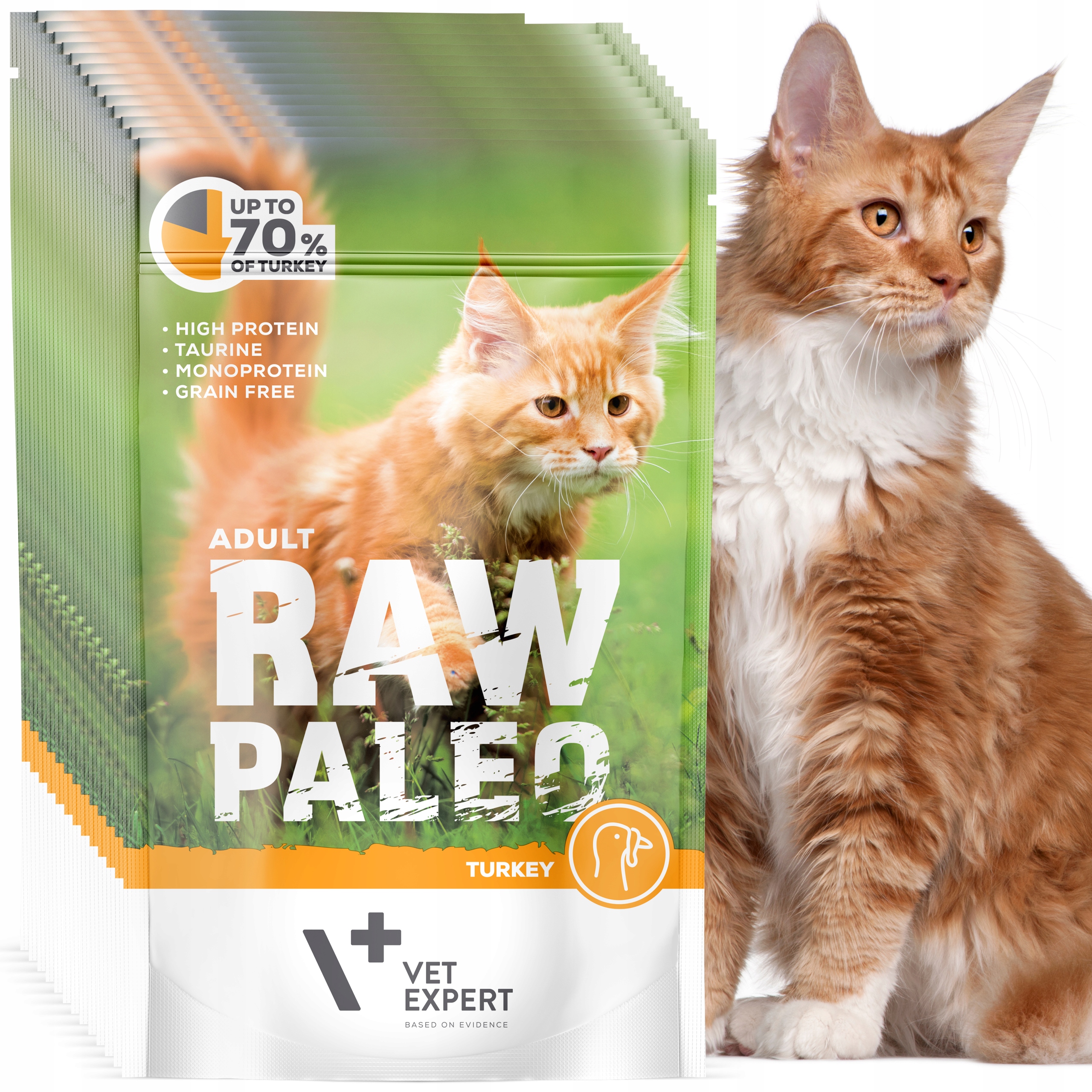 Zestaw Mokra karma dla kotów dorosłych indyk Raw Paleo 12 x saszetka 100g