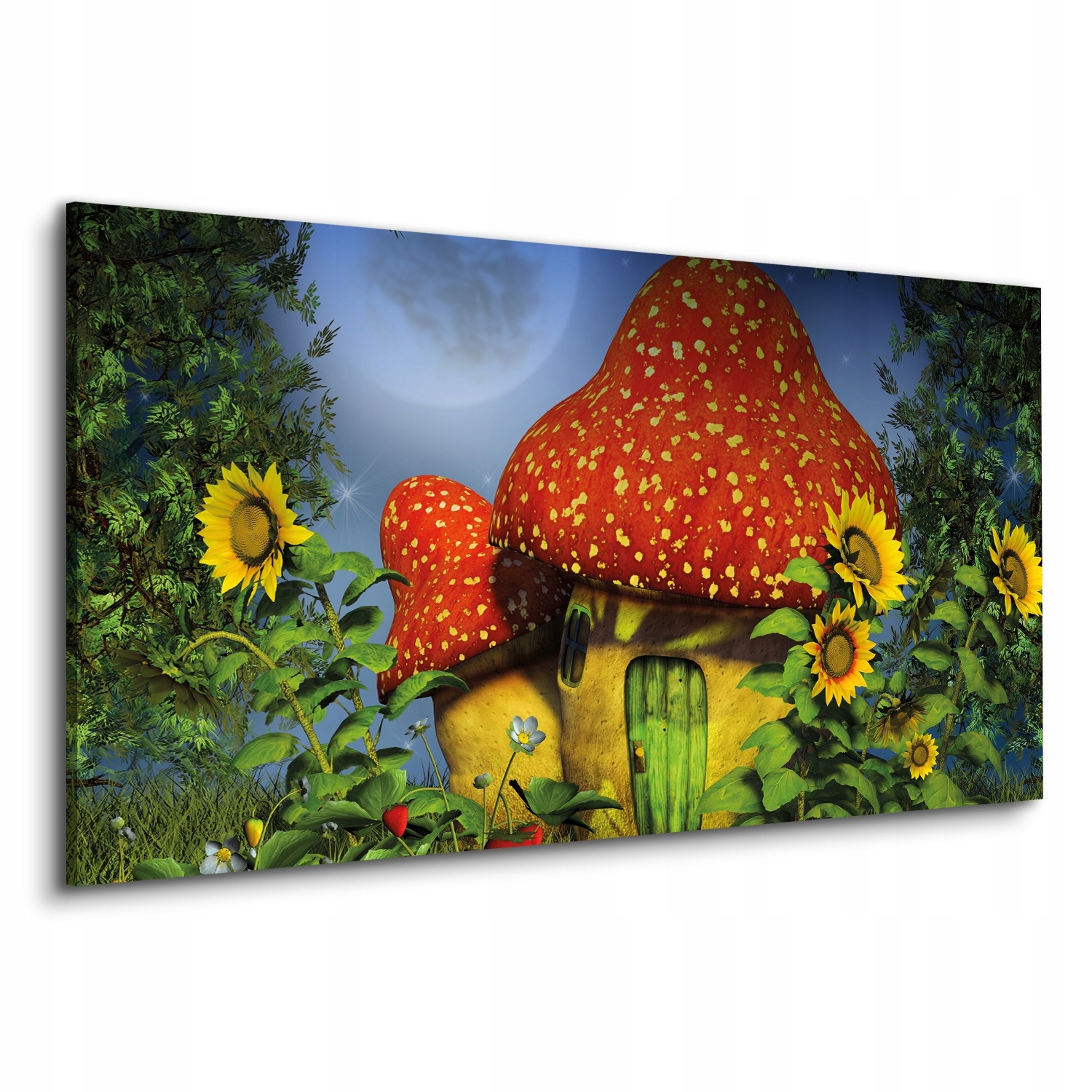 Obraz canvas na zeď 120x60 Muchomůrka dům květiny