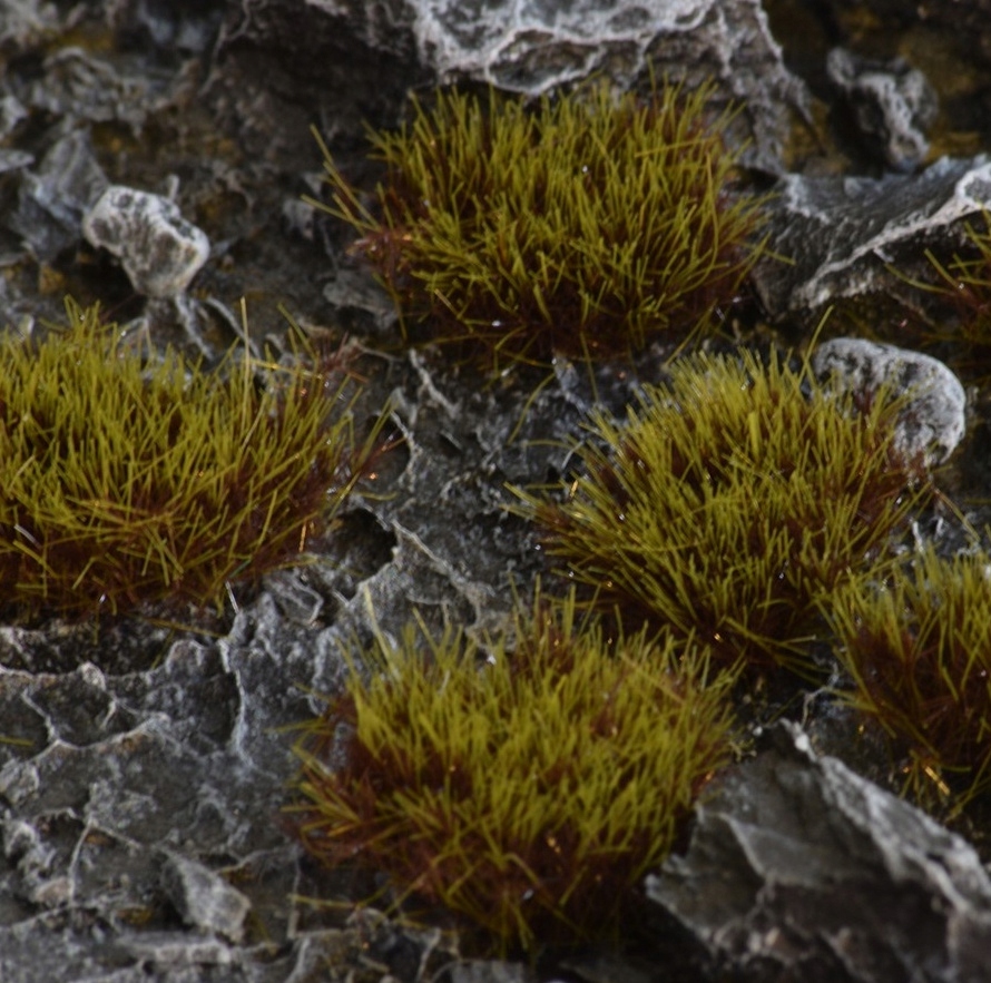 Gamers Grass: Grass tufts - 8 mm - Swamp XL (Wild) EAN (GTIN) 0738956789105