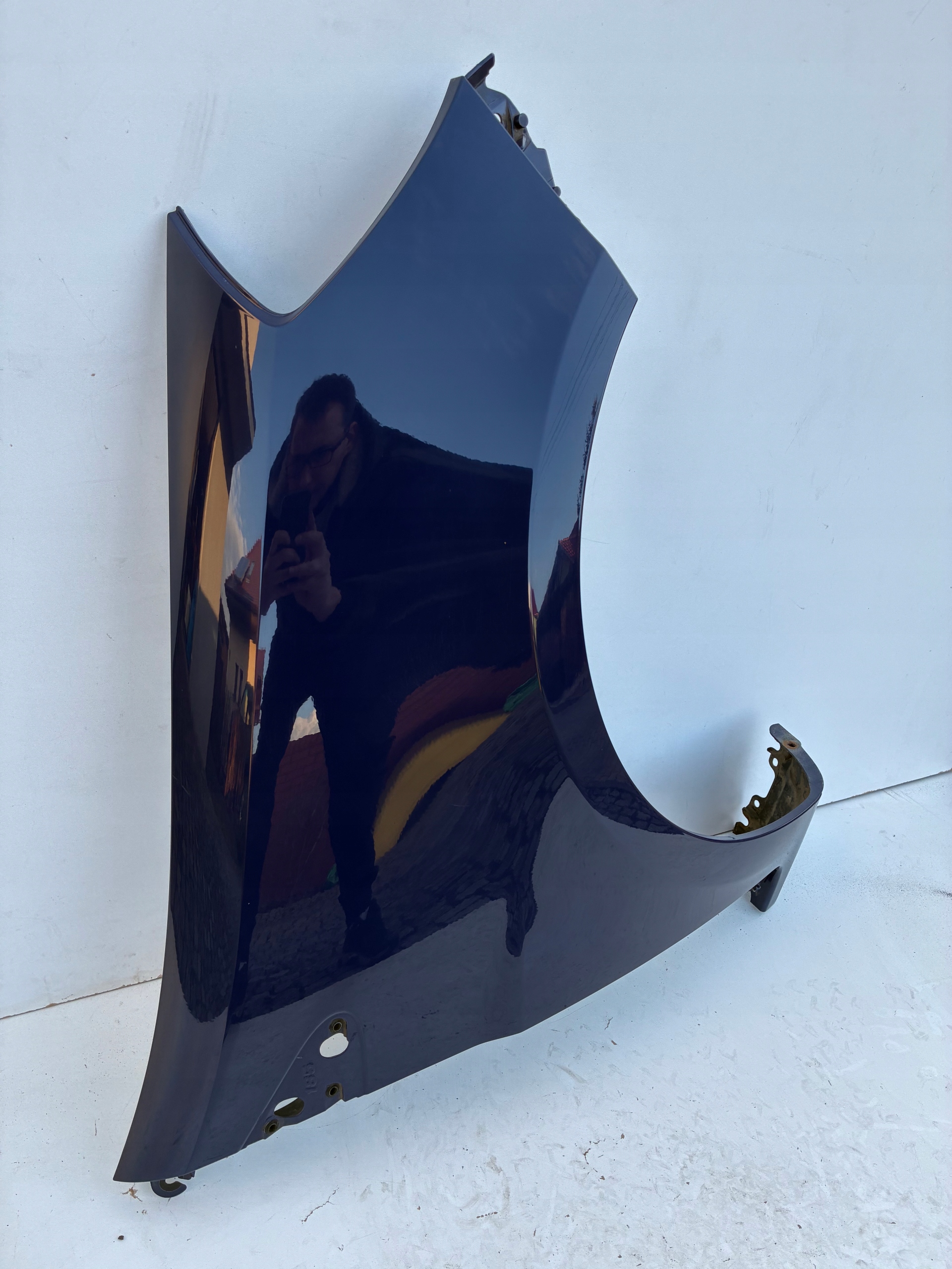 fender right front front Renault CLIO III Lift DV460 185 05-12r.