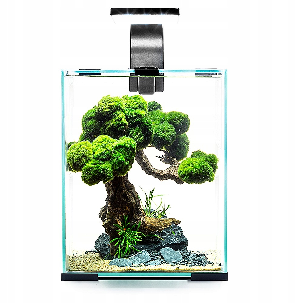 Levně Malé Akvárium Krevetkarium Sada S Topným Filtrem Shrimp Pro Dítě Aquael