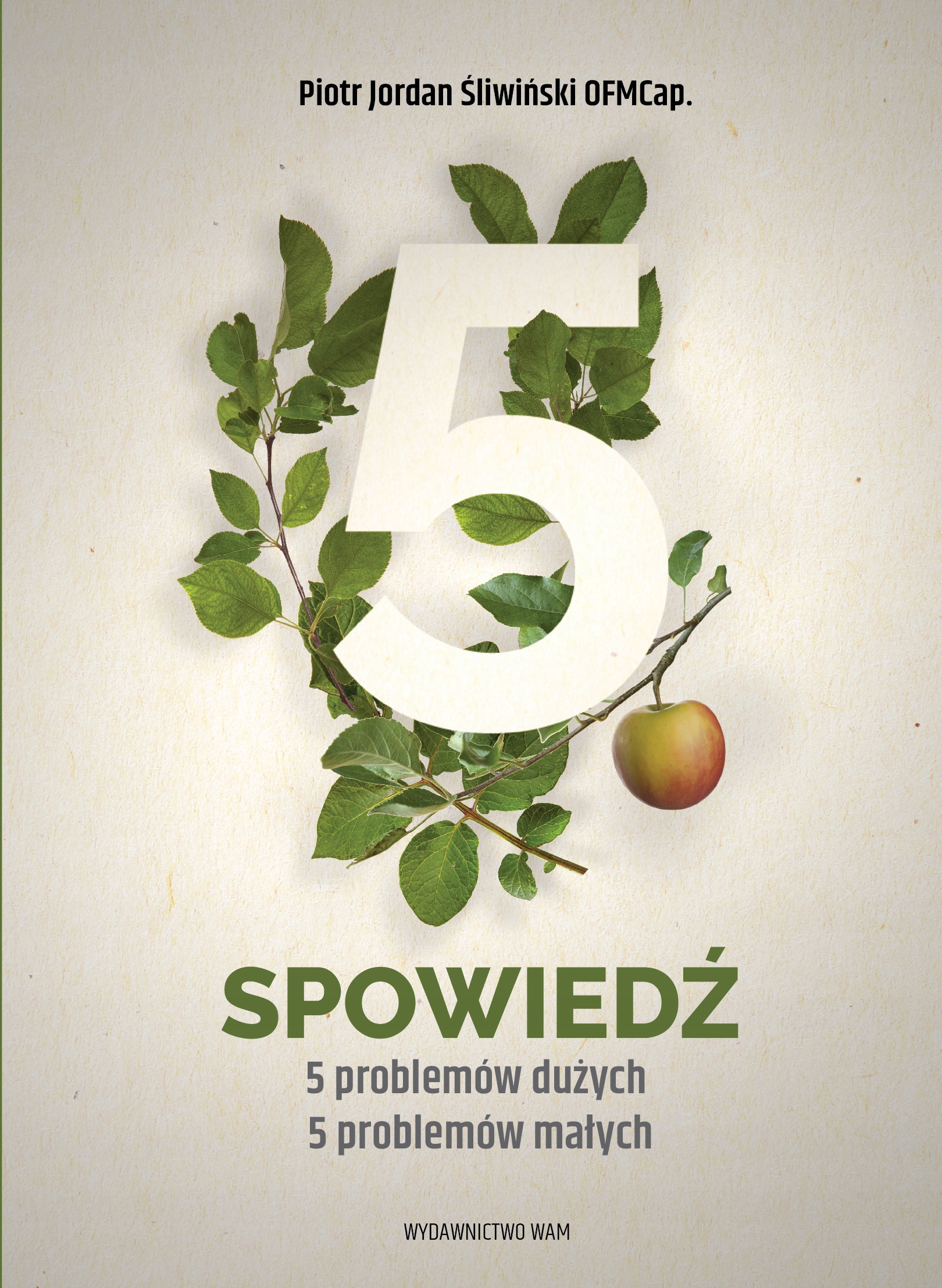 

Spowiedź 5 problemów dużych 5 problemów małych