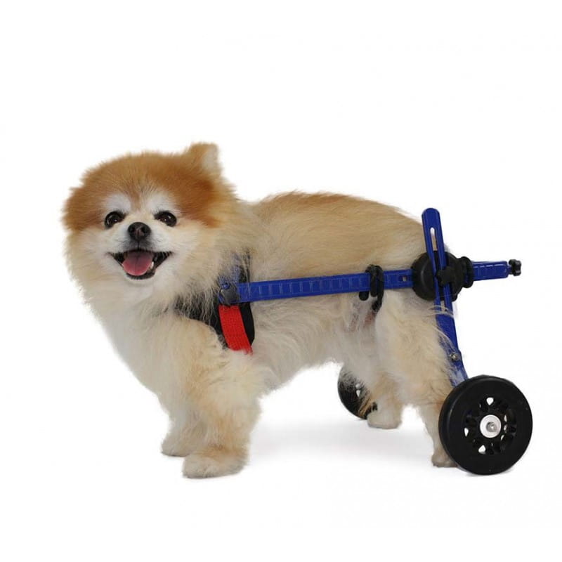 Invalidní vozík pro malé psy 0,9 4,5 kg [délka zadní nohy 15-22)