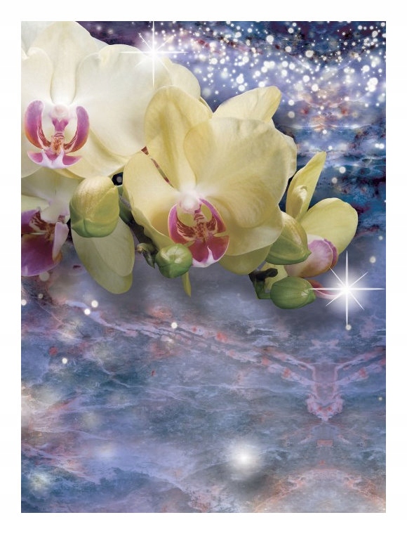 Fototapeta Orchideje lesk a magie vinylová 184x254 lepidlo