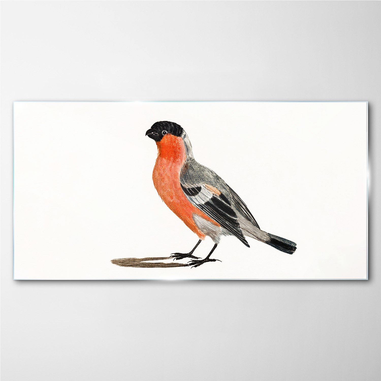 

Obraz z nadrukiem szklany Zwierzę ptak 100x50 cm