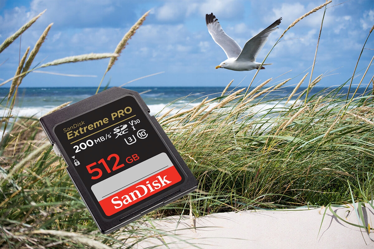 Karta pamięci SANDISK Extreme PRO SDXC 512GB Klasy prędkości U3