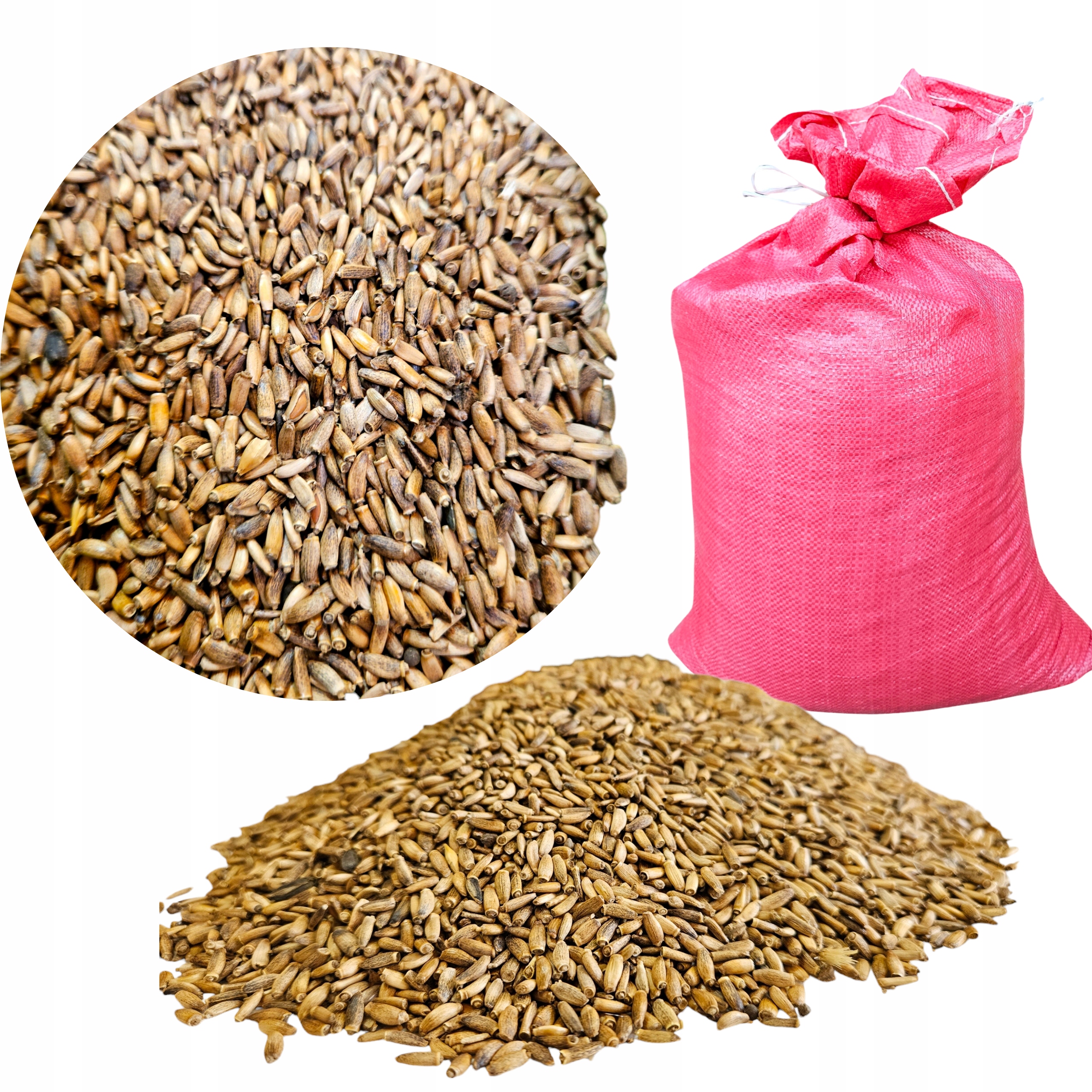 Ostropest Plamisty Ziarno 25 Kg Zdolność kielkowania 96%