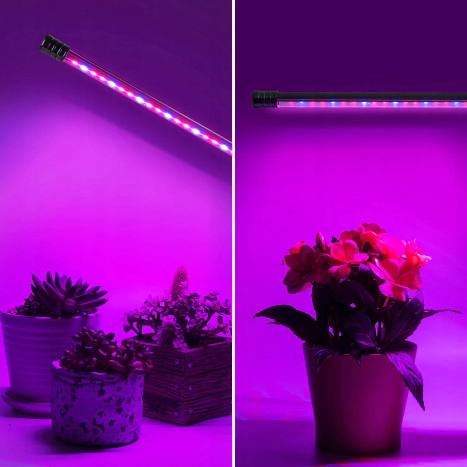 3 x Lampa do wzrostu uprawy ROŚLIN ZIÓŁ mocna 60 LED timer klips + pilot XL Typ oświetlenia GROW