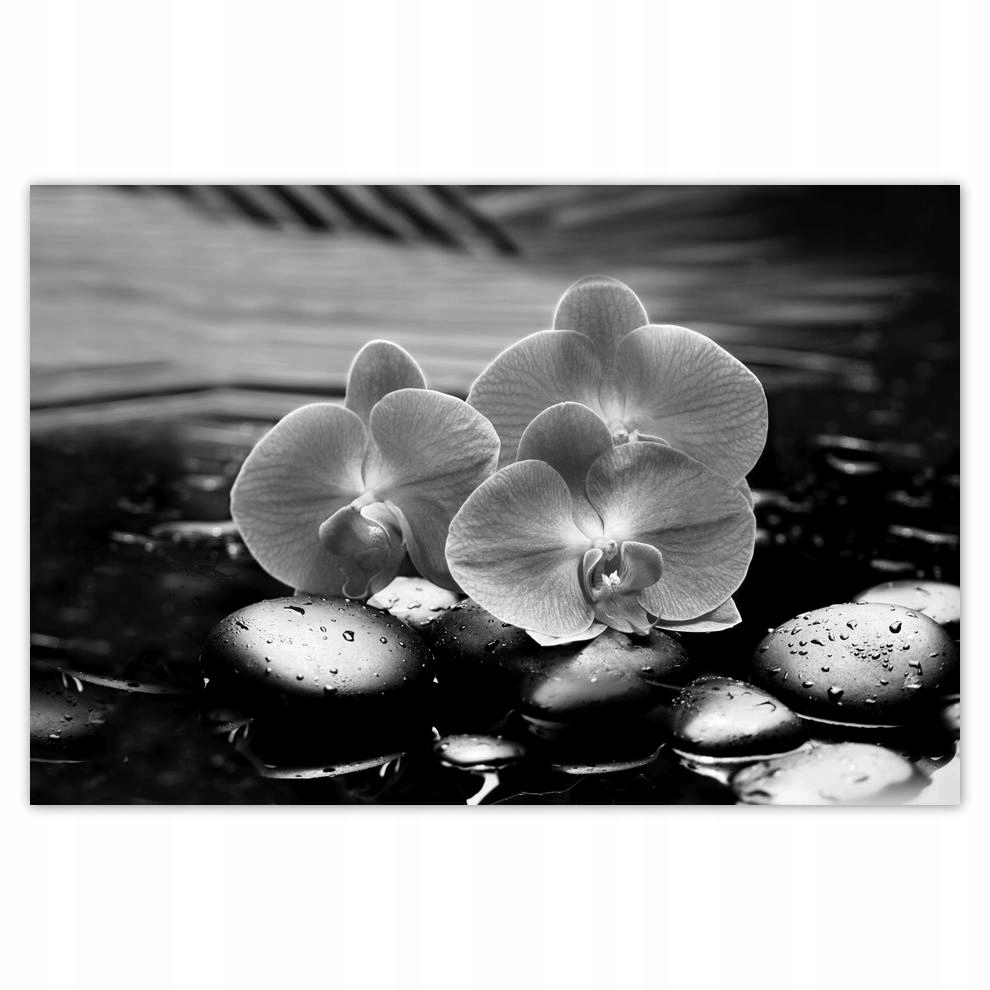 

Plakaty 60x40 Storczyki na kamieniach