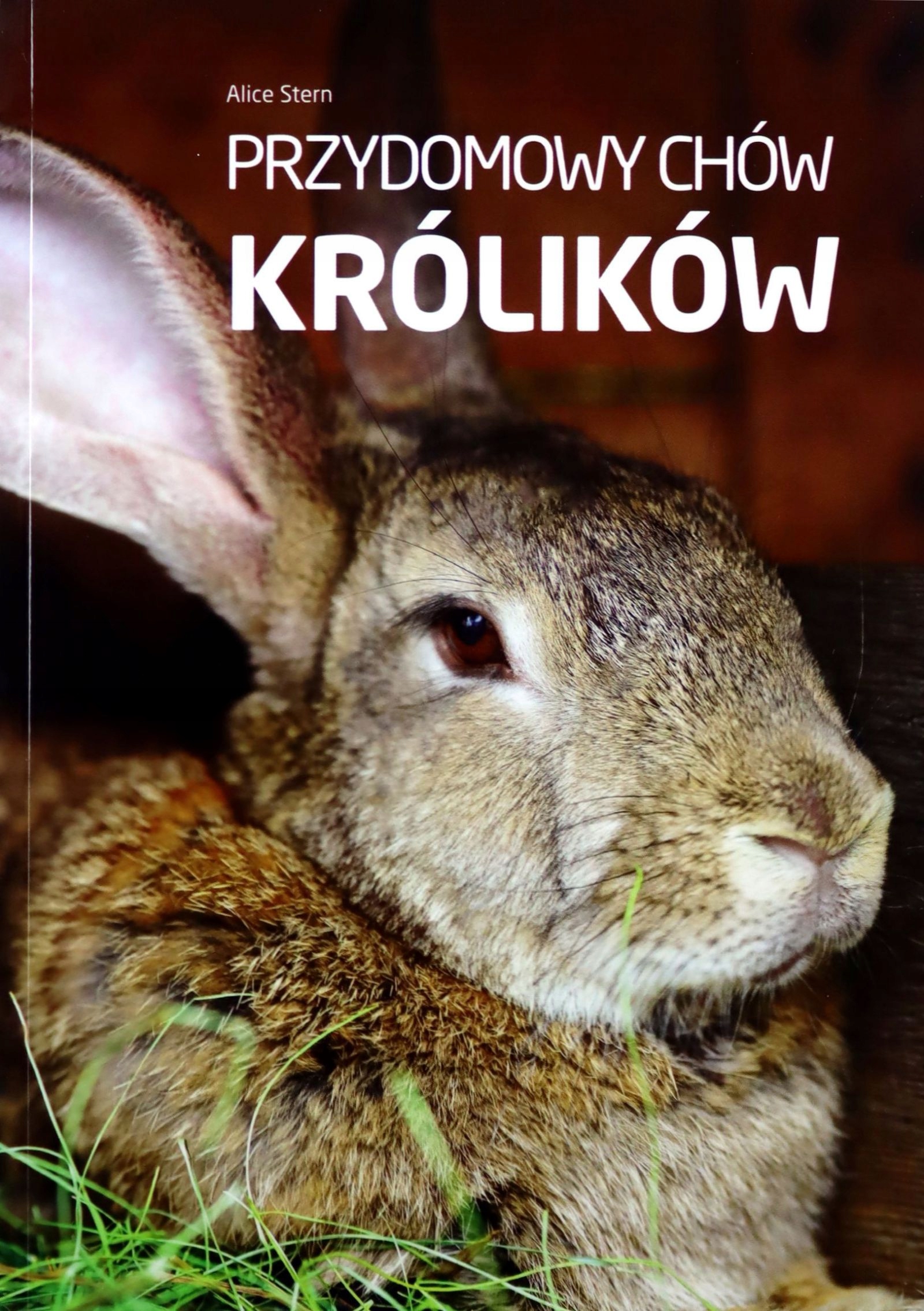 

Przydomowy Chów Królików Alice Stern (książka)