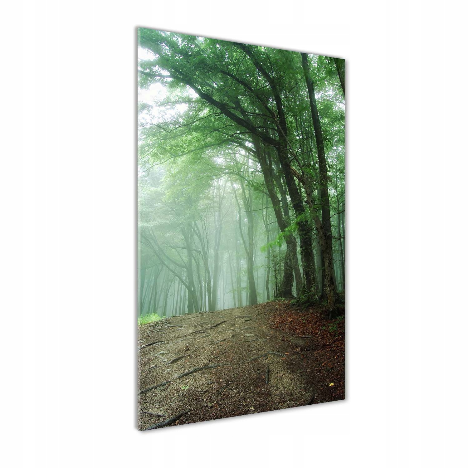 

Nowoczesny fotoobraz akrylowy Mgła w lesie 70x140