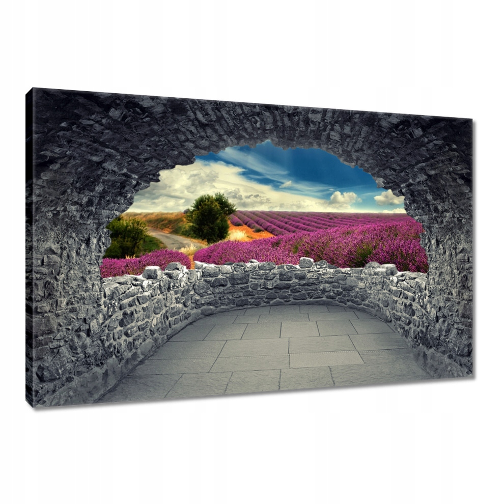 

Obrazy 120x80 Lawendowy pejzaż