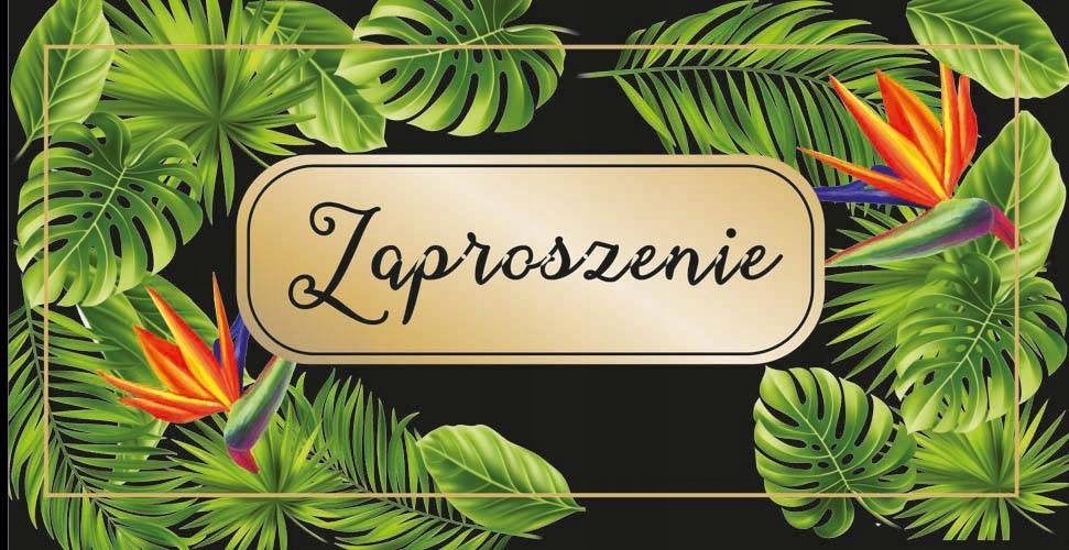 

Zaproszenia na imprezę mix 10szt ZAB122