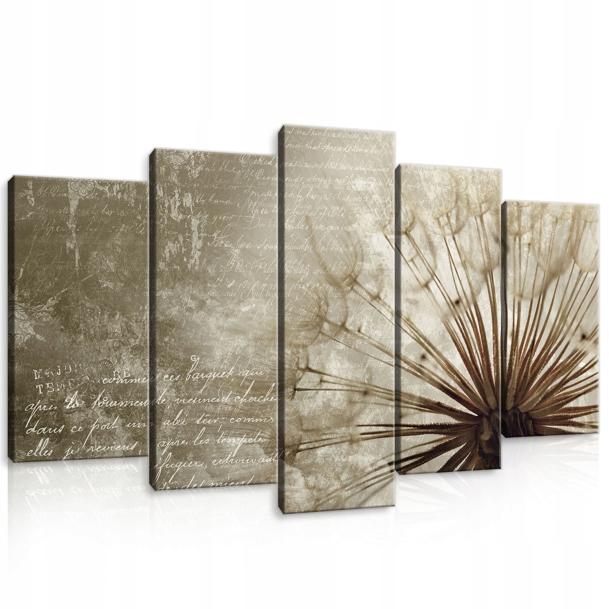 Obraz 100x60 Pampeliška lékařská peří lehkost příroda léto sen vítr