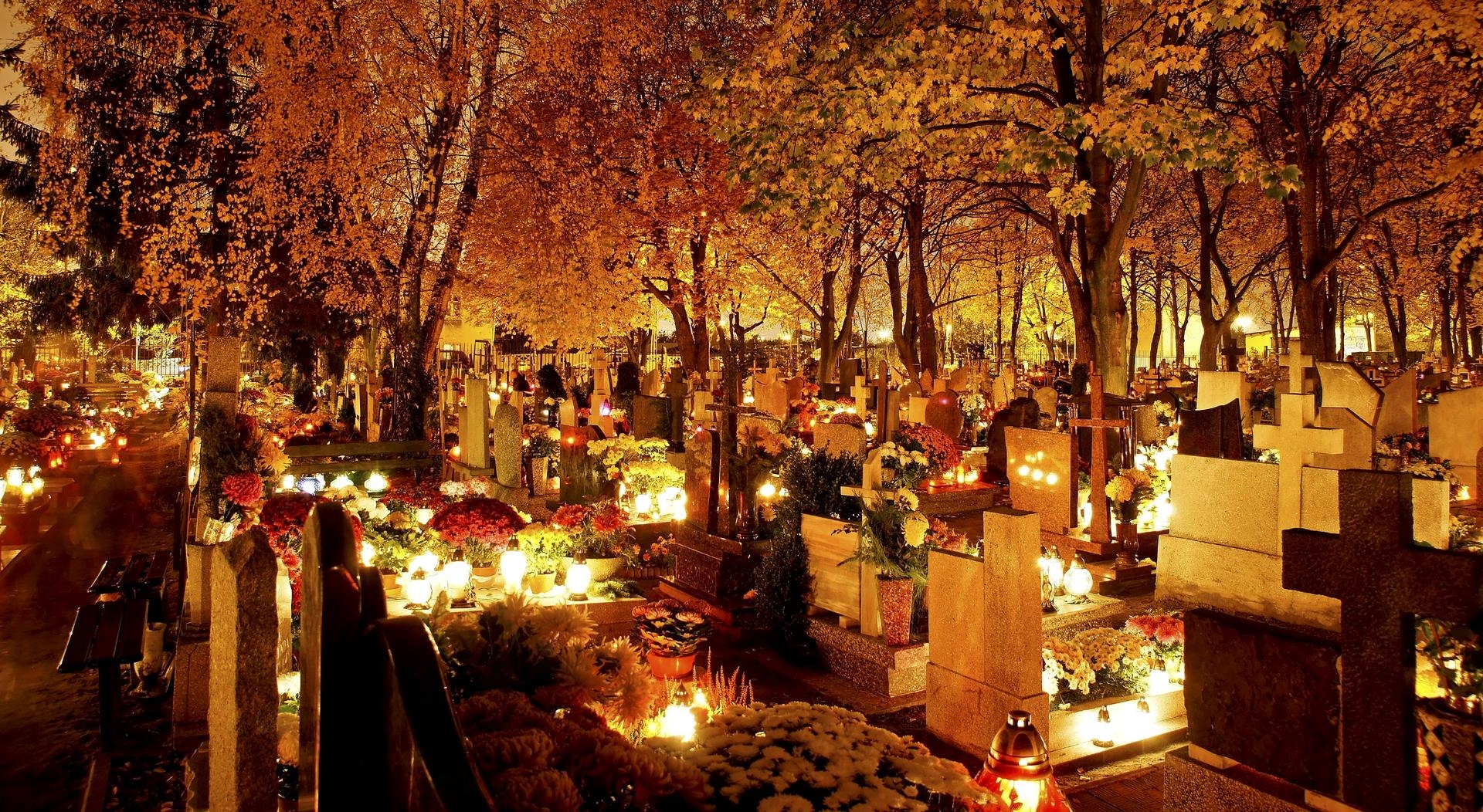 BISPOL WKŁAD DO ZNICZY PARAFINOWY PRASOWANY MEMORIA 100H P600 Marka Bispol