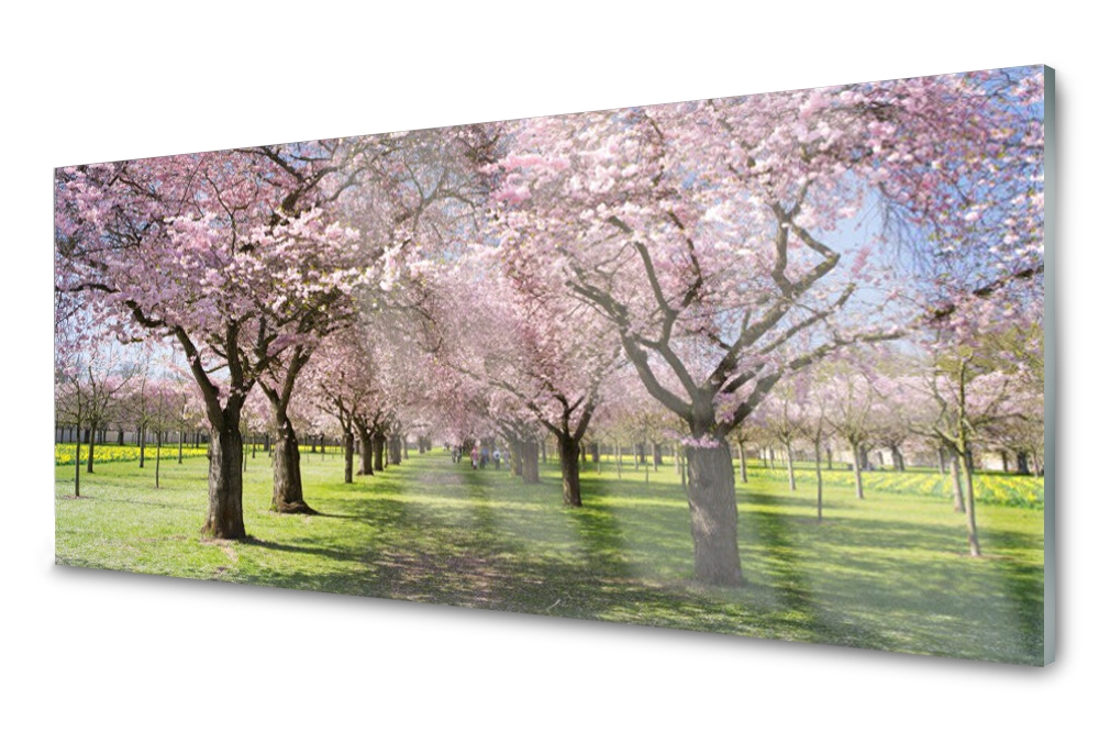 Sklenený panel do kuchyne Cesta stromu 125x50