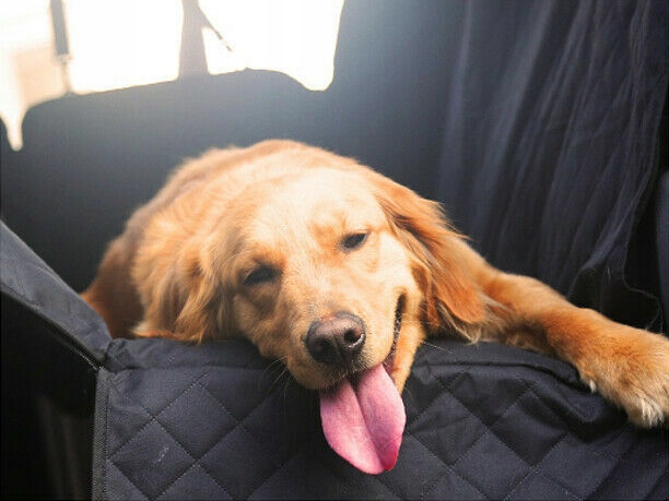 MATA TRANSPORTER DO SAMOCHODU DLA PSA NA SIEDZENIE POKROWIEC DUŻY Waga produktu z opakowaniem jednostkowym 1.5 kg