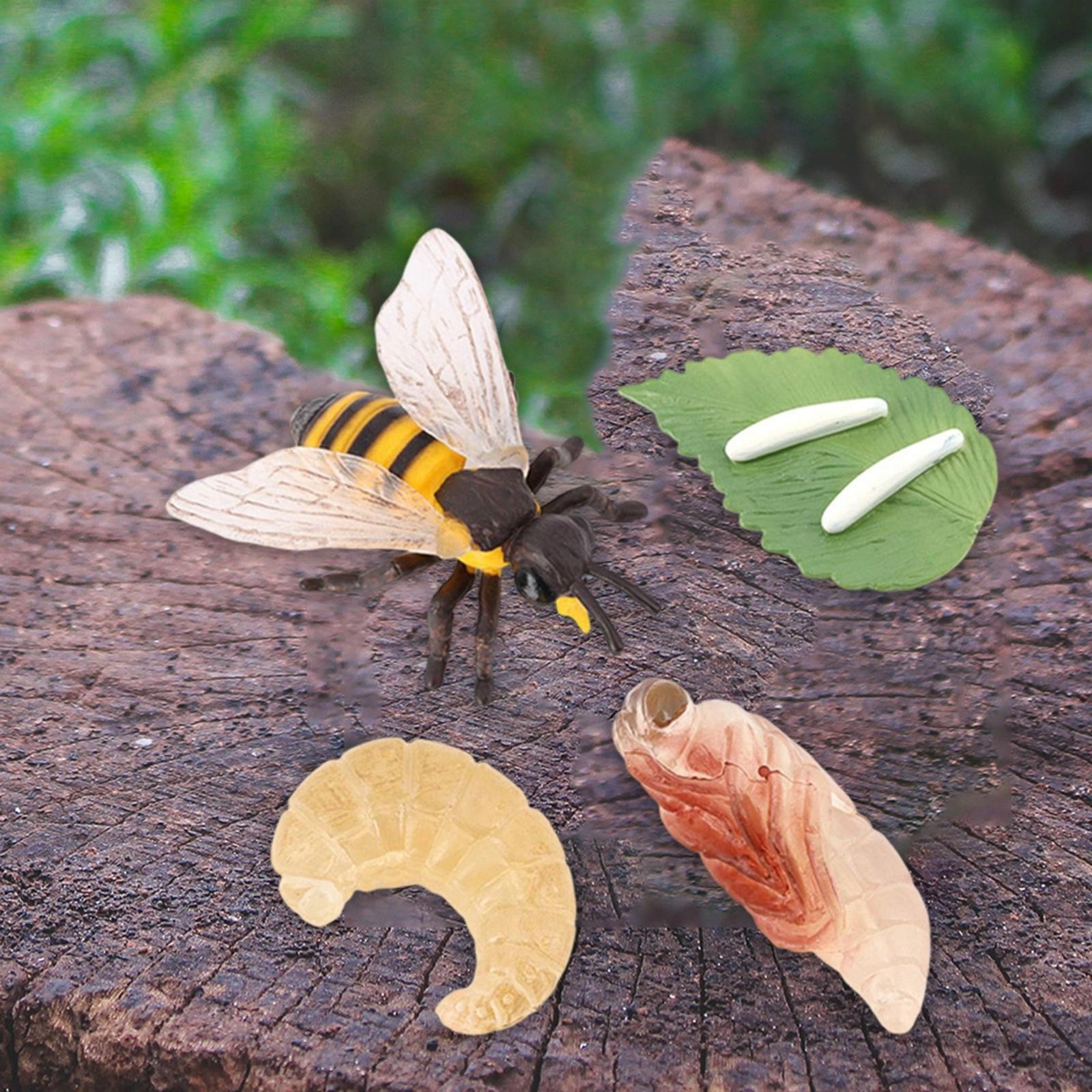 2Pcs Kids Dragonfly Bee Growth Process Materiał inny