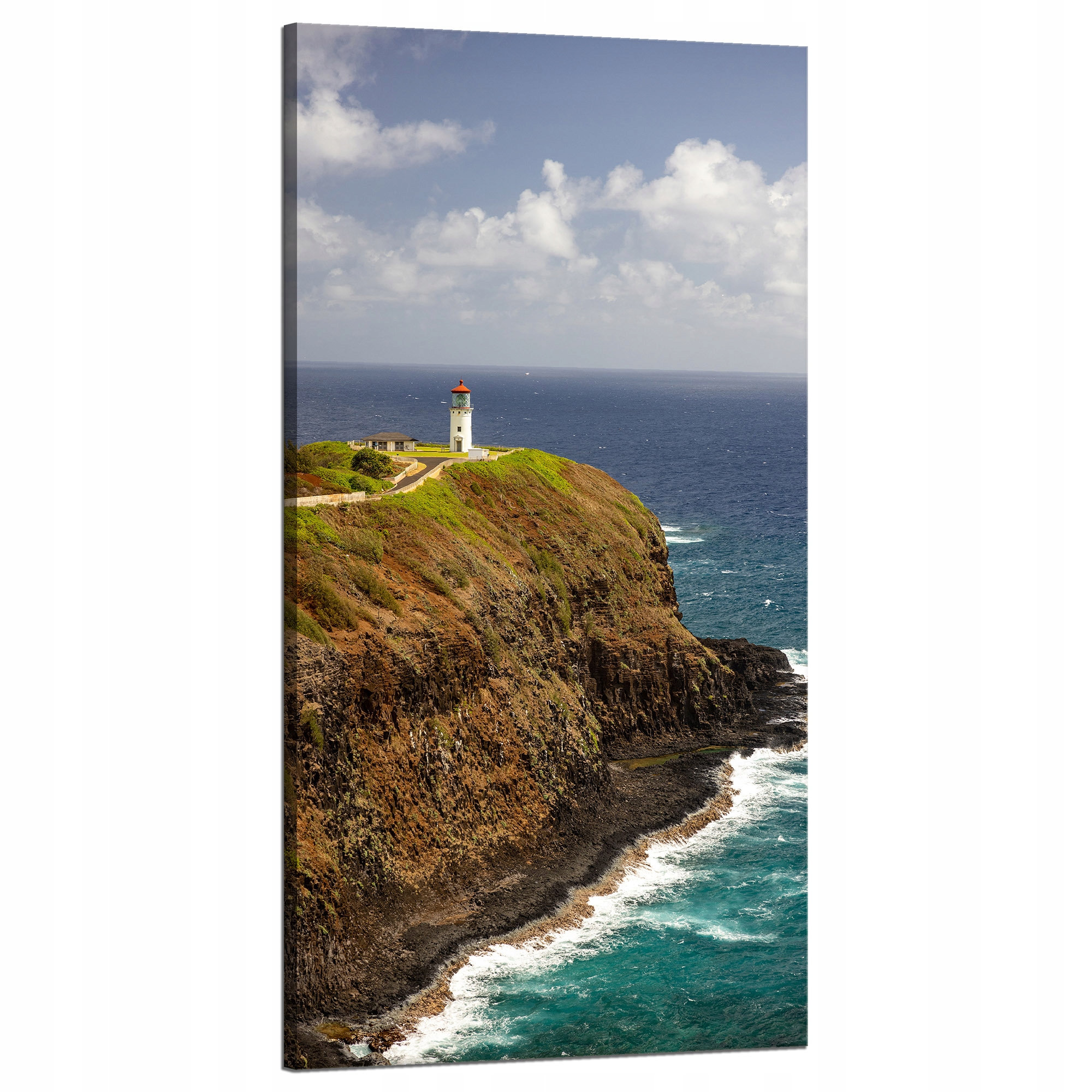 Obraz Canvas Příroda Moře útes Irsko 60x120 cm