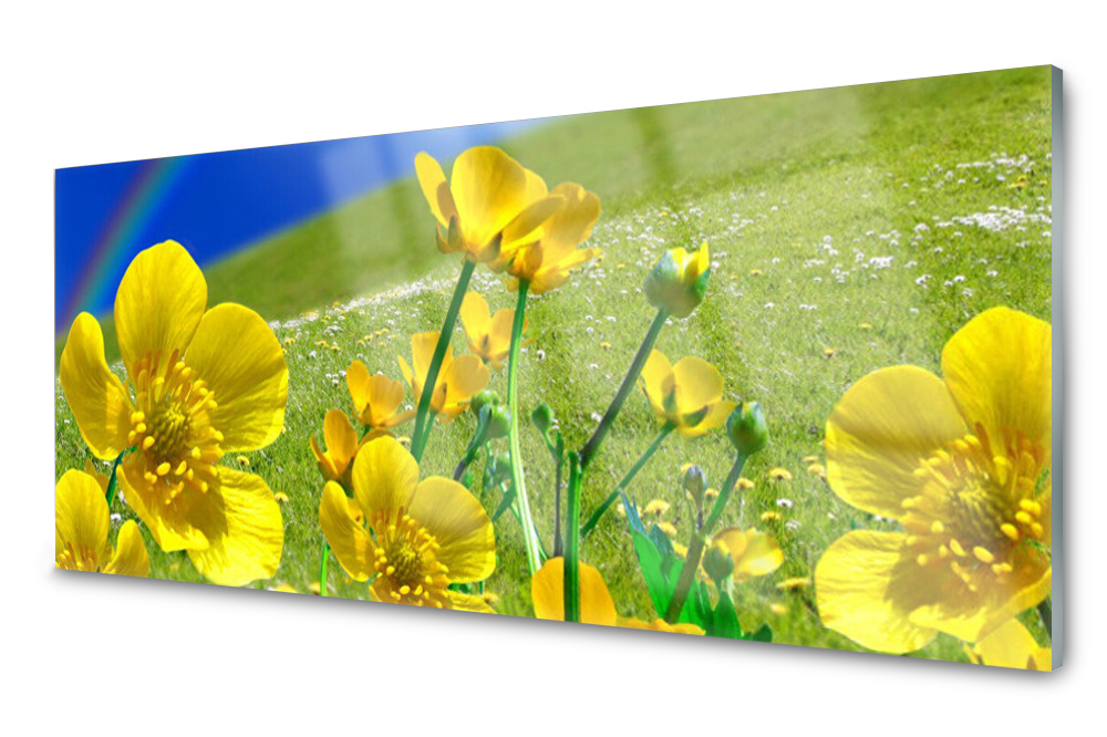 

Panel szklany do kuchni Łąka Kwiaty Tęcza 125x50