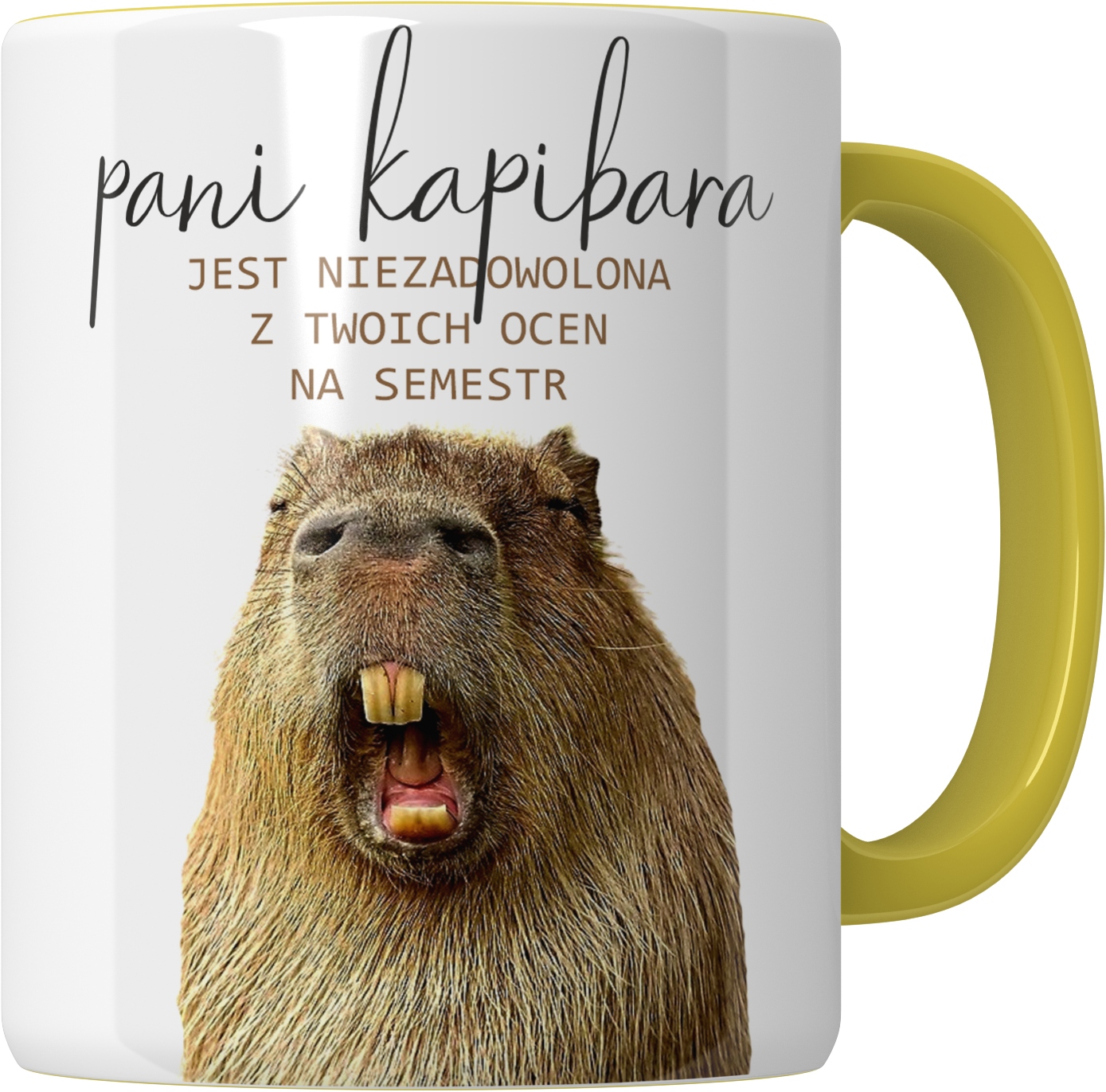 Kubek KAPIBARA na KONIEC SZKOŁY UCZEŃ NAUCZYCIEL