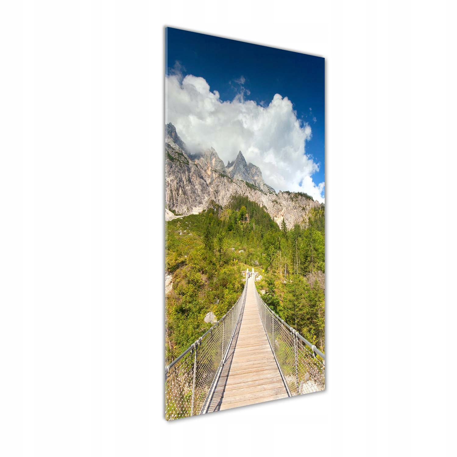 Fotoobraz tvrzené sklo Závěsný most 50x125 cm