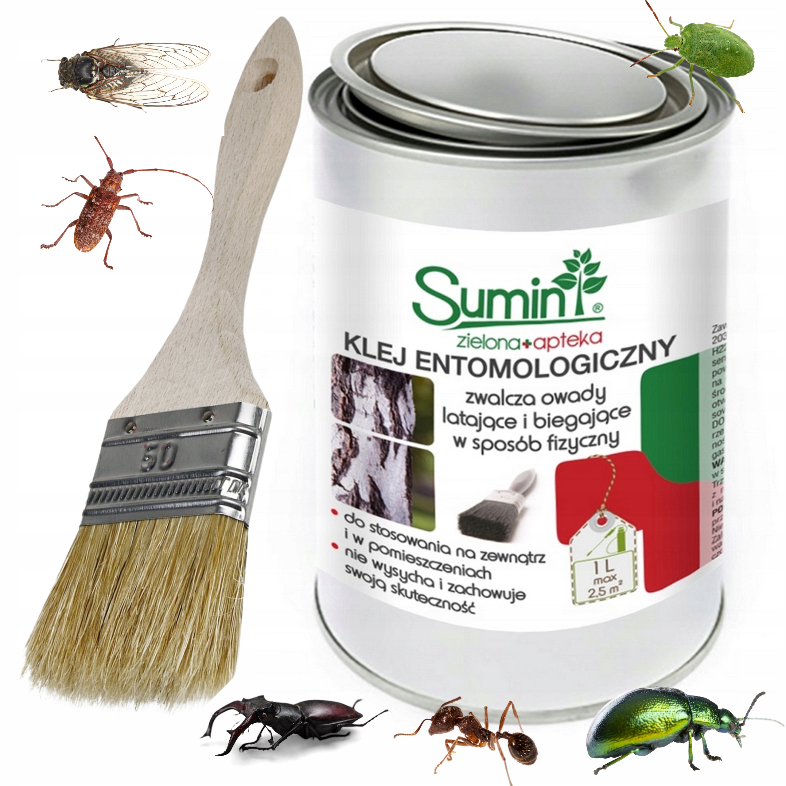 57772eb24f40a9bf065f0823b2be