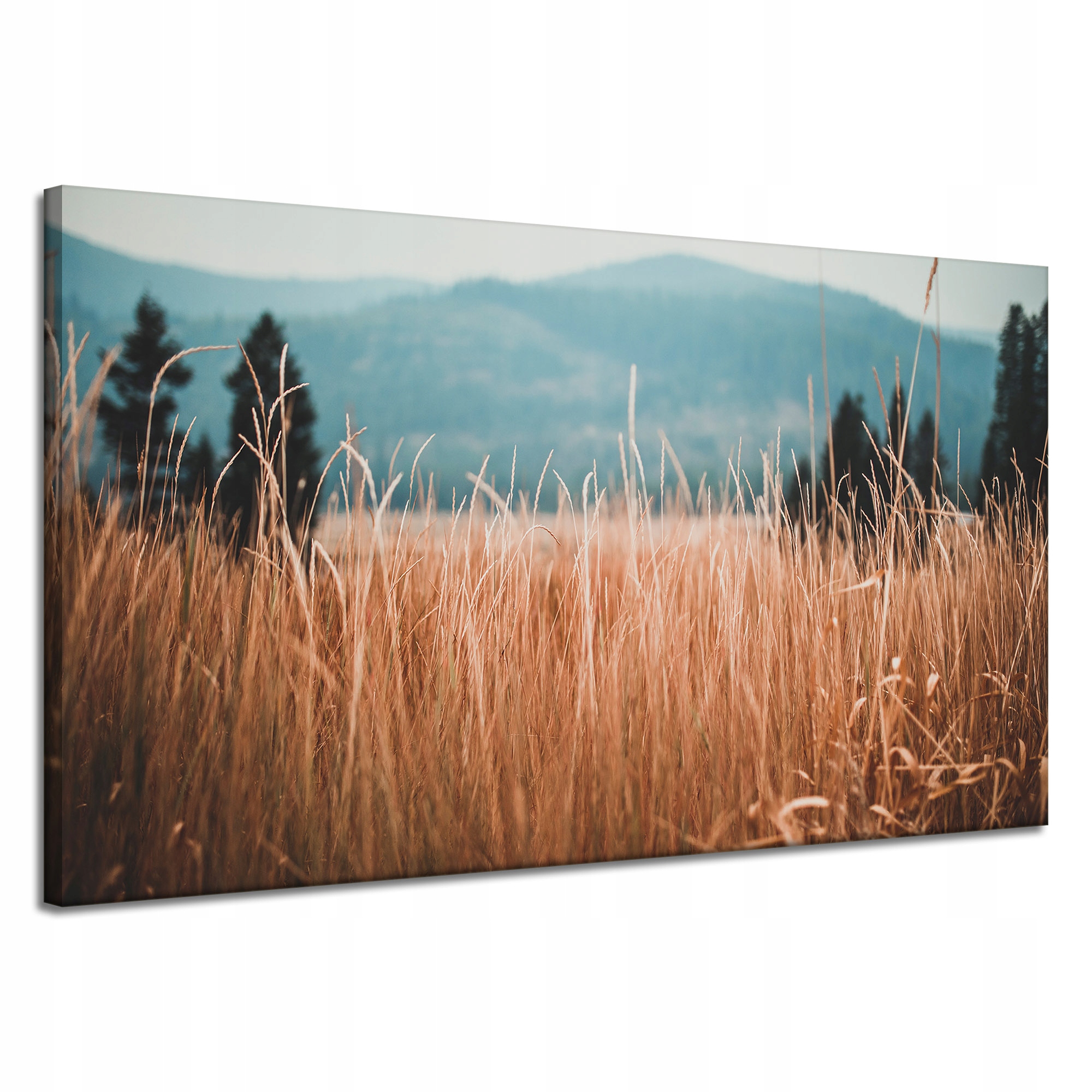 Obrazy na plátně Příroda Stébla trávy Hory 120x70