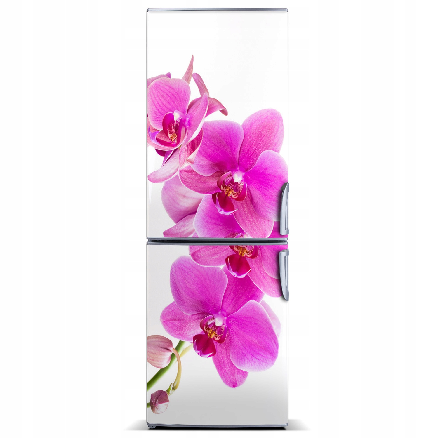 

Naklejka Magnes Magnes Różowa orchidea 60x180