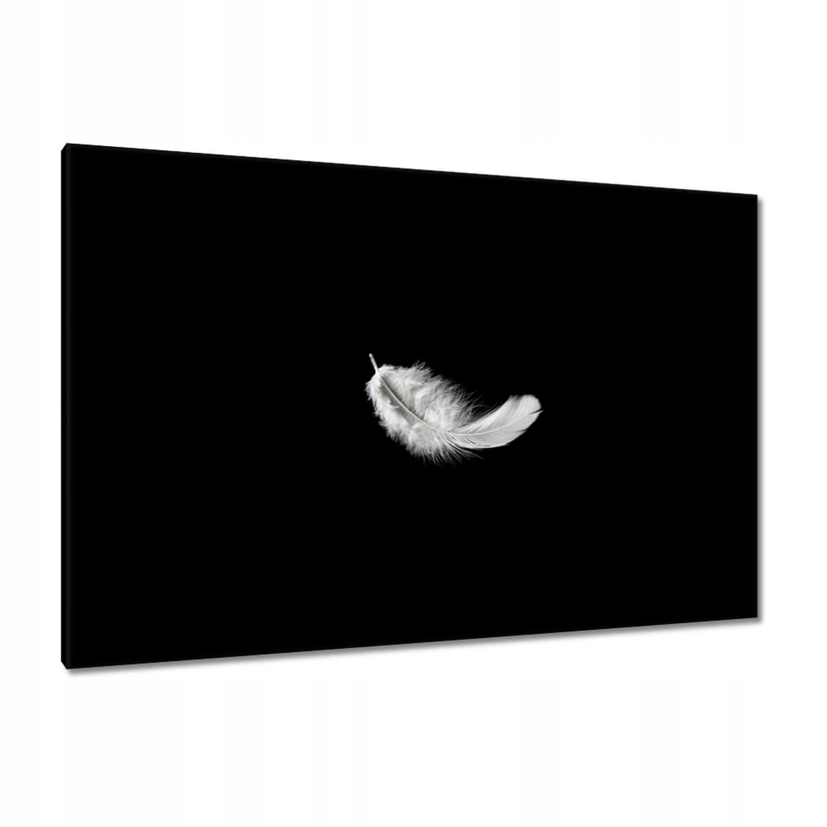 Obrazy 120x80 Nadýchané bílé peříčko