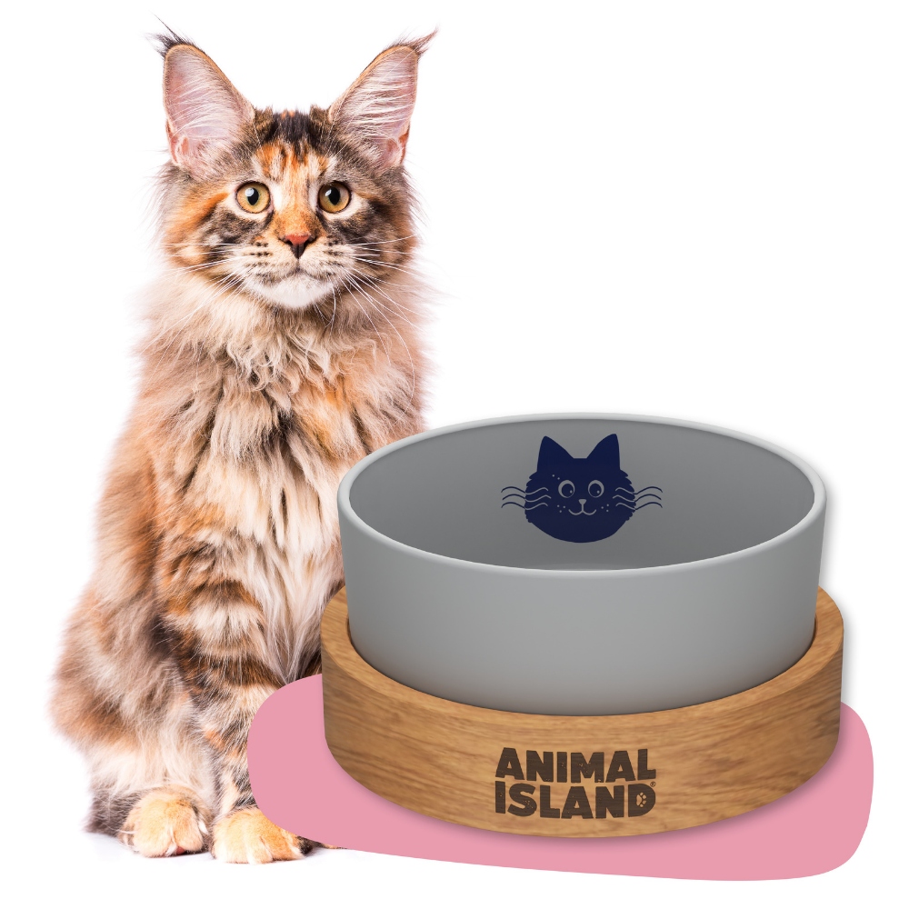 Miska dla kota Animal Island ceramika 900 ml szara z podstawką