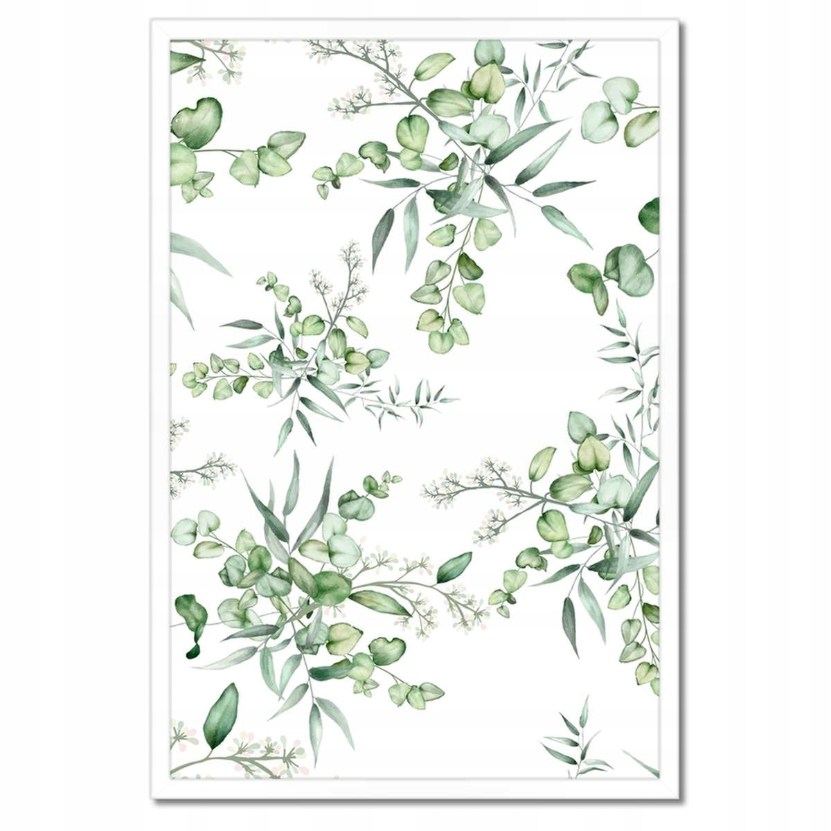 Plakáty v rámu 40x60 Eucalyptus Květinová květina