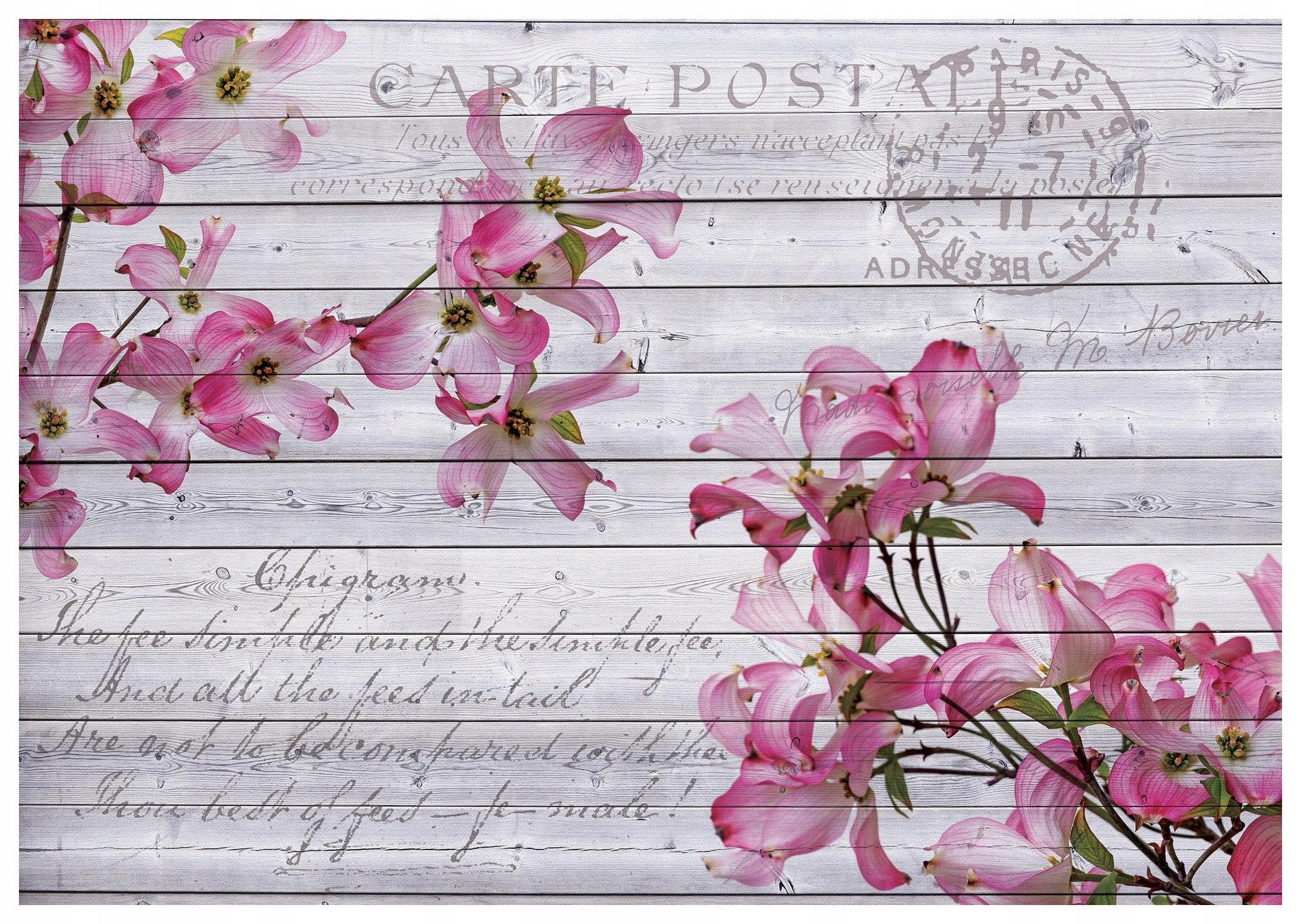 Fototapeta Drieň ružový vintage pokoj vinylová 208x146 lepidlo