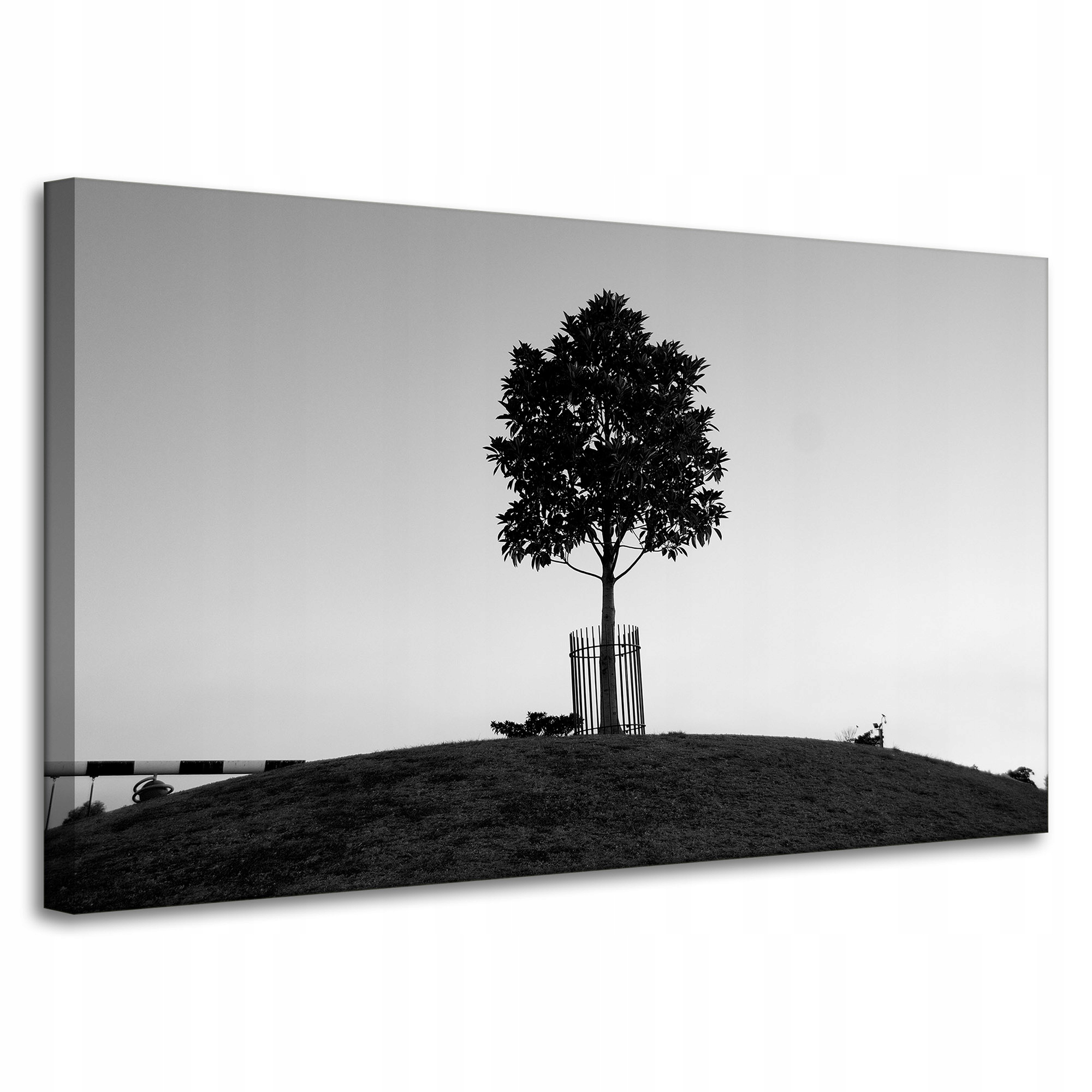 Obraz Canvas Příroda Strom Černobílý 100x60 cm