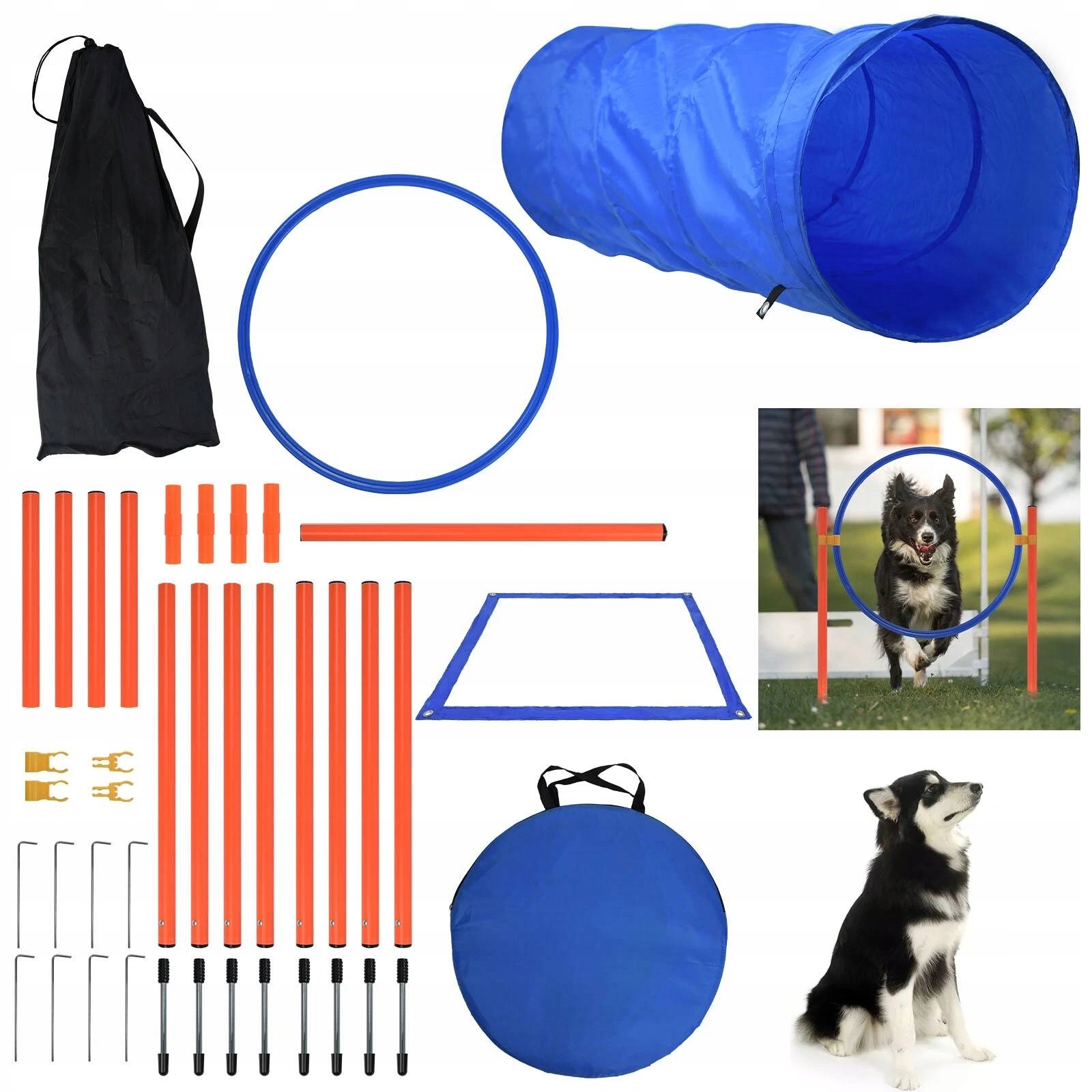 Sada pro agility pro psy modrá pro výcvikové hry Agility
