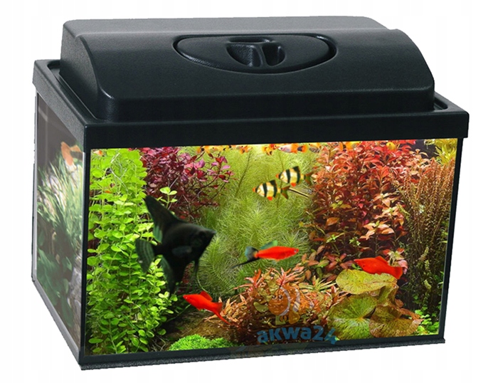 Аквариум 25L простой 40X25X25CM 12 поддавки