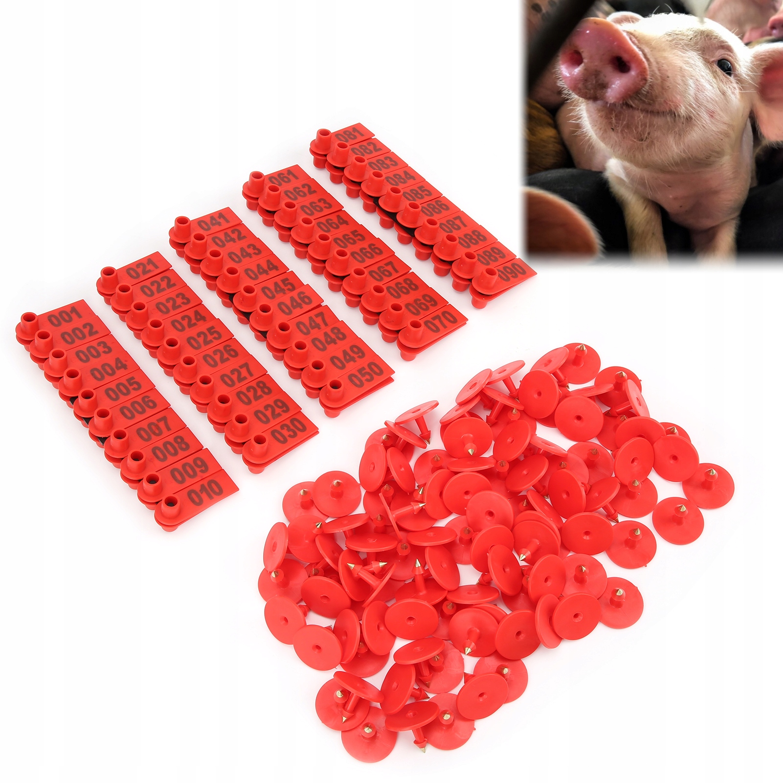 100X KOLCZYKI DLA LOCH TRZODY Z NUMERAMI Kod producenta ChenLong-2321227