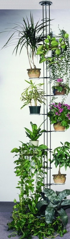 KWIETNIK ROZPOROWY KOLOR (273CM) VERSANIS 6C Stan opakowania oryginalne