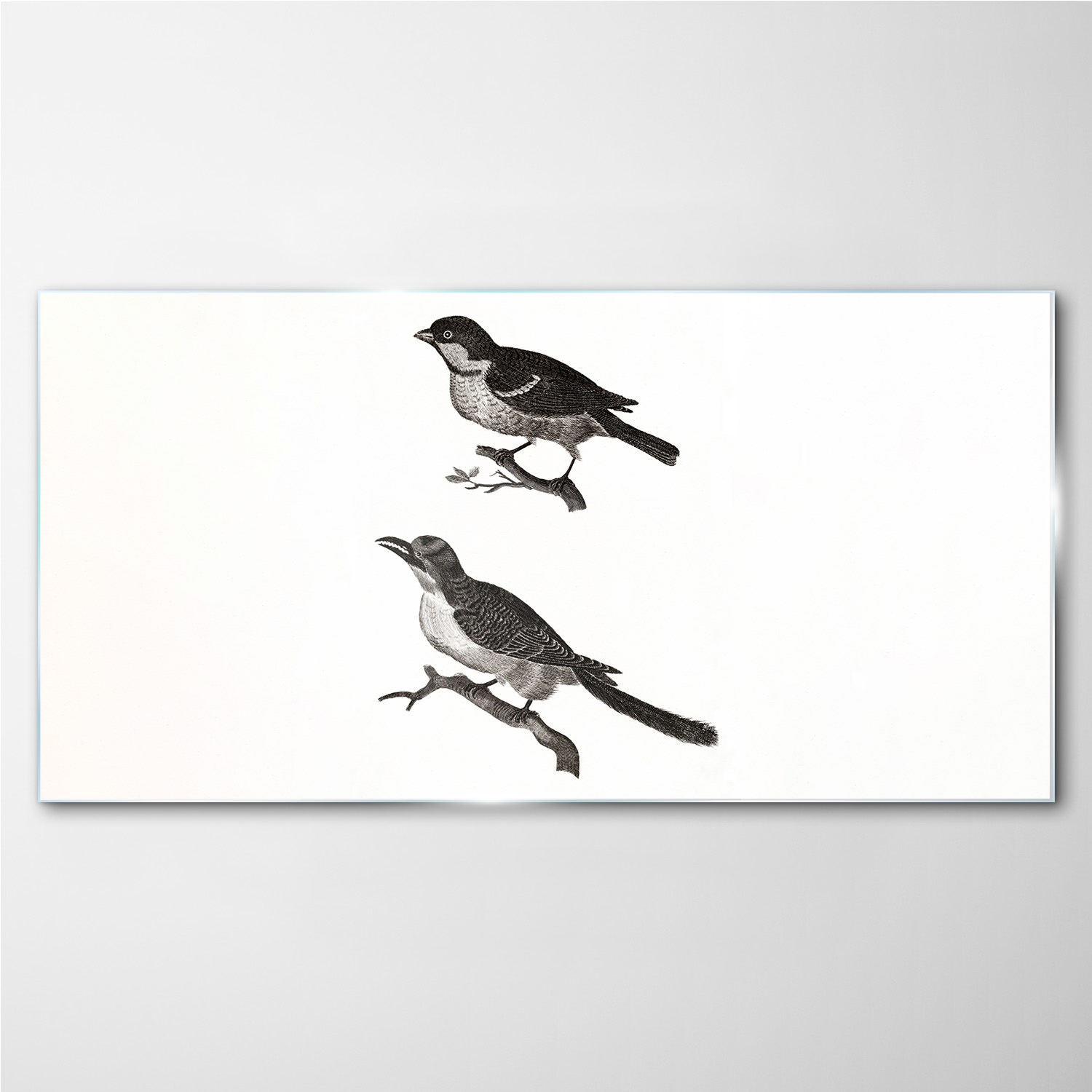 

Foto-obraz szklany Zwierzę ptak gałąź 140x70 cm