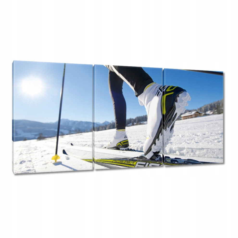 

Obrazy 120x60 Narty biegowe