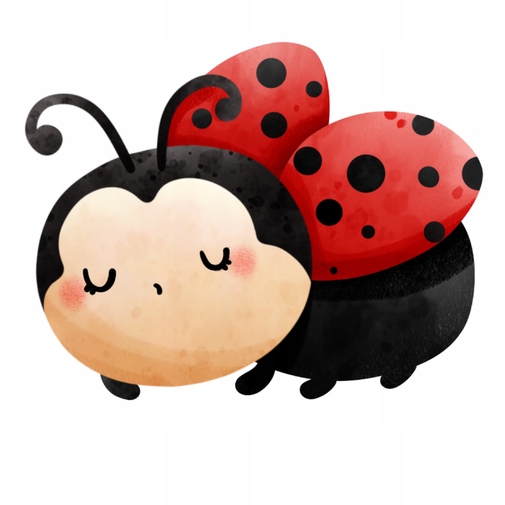 

Naprasowanka Biedronka Termo Naklejeka Na Odzież 4