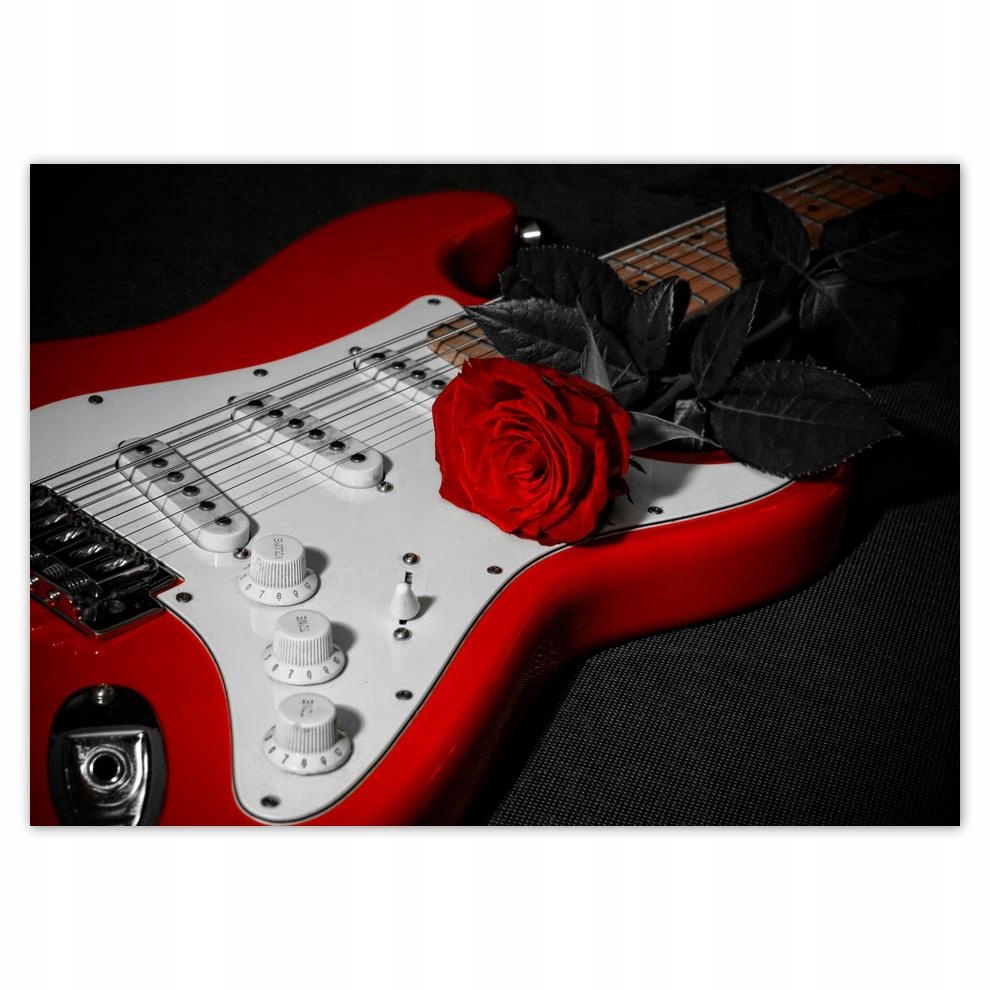 

Naklejki 70x50 Róża Gitara elektryczna