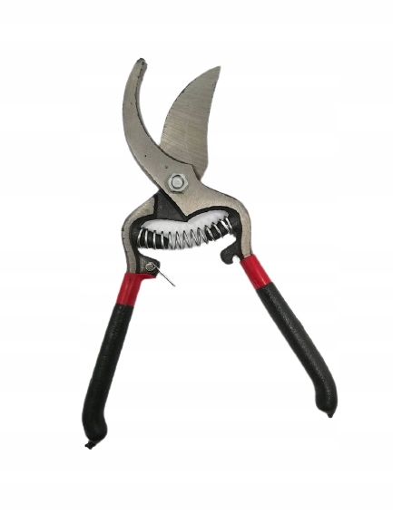 

Sekator