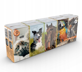 KING OF ANIMALS Chusteczki higieniczne 10x10 3W